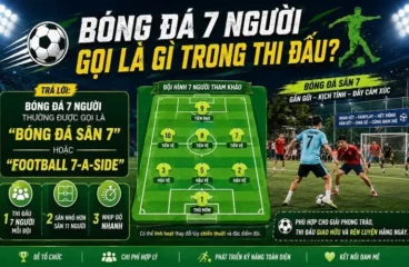 Bóng Đá 7 Người Gọi Là Gì – Cách Hiểu Đúng Về Bóng Đá Sân 7