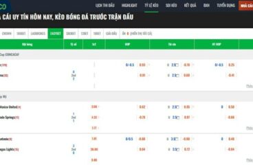 Xem bóng như chuyên gia – Vebo Link lo từ link đến soi kèo cực chuẩn